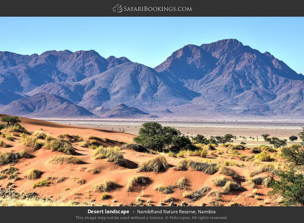 Desert landscape in NamibRand Nature Reserve, Namibia