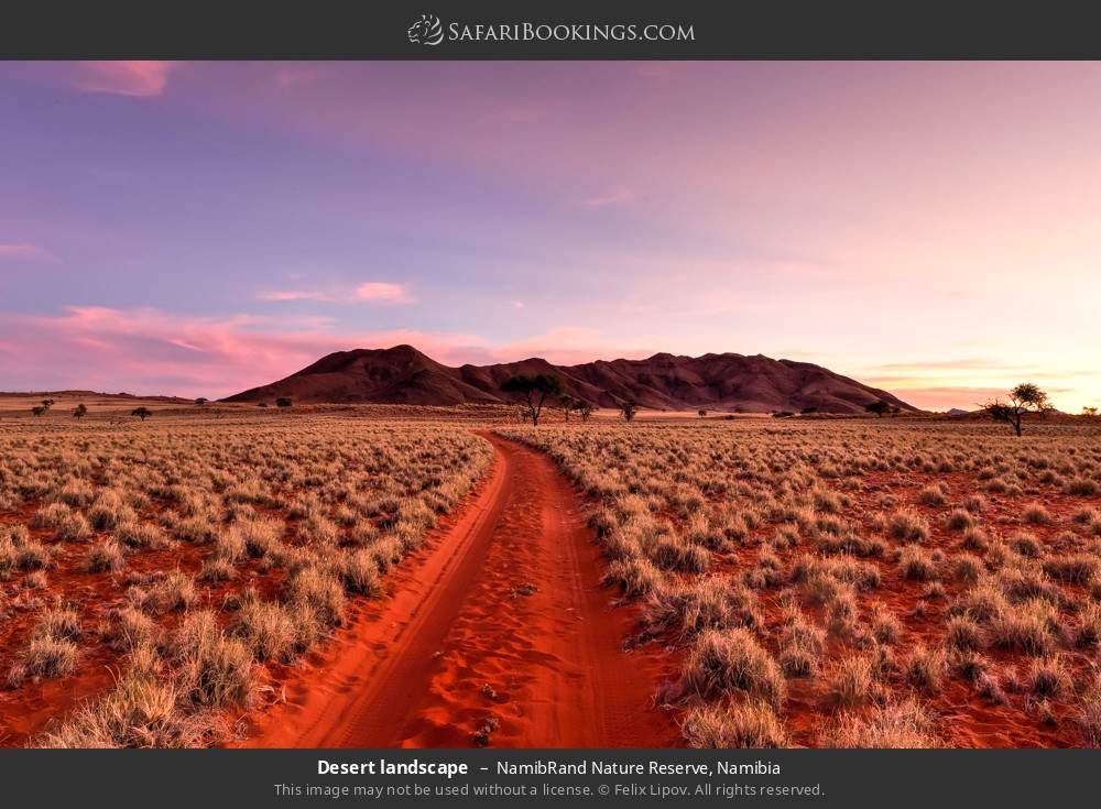 Desert landscape in NamibRand Nature Reserve, Namibia