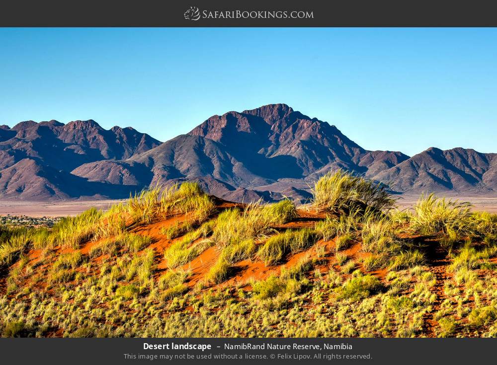 Desert landscape in NamibRand Nature Reserve, Namibia