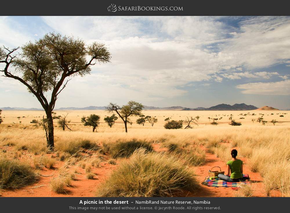 A picnic in the desert in NamibRand Nature Reserve, Namibia