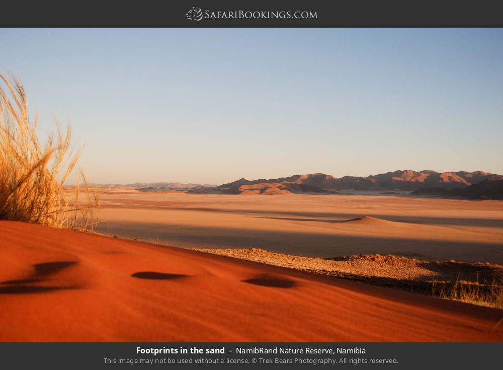 Footprints in the sand in NamibRand Nature Reserve, Namibia