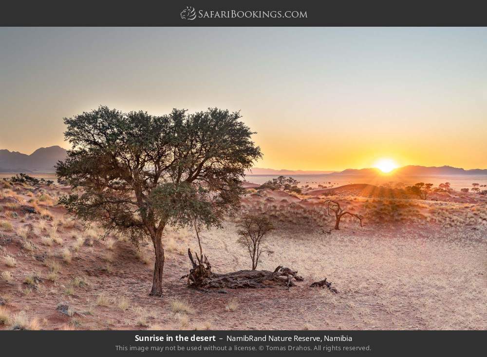 Sunrise in the desert in NamibRand Nature Reserve, Namibia