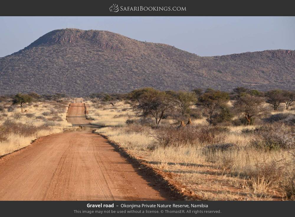 Gravel road in Okonjima Private Nature Reserve, Namibia