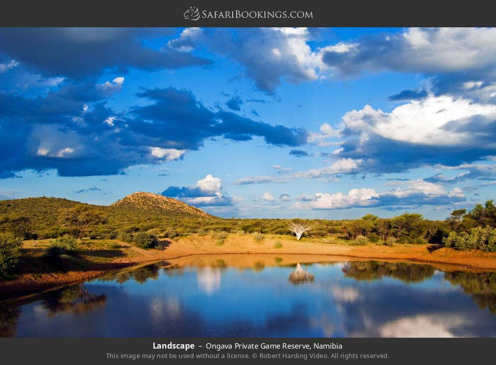 Landscape in Ongava Private Game Reserve, Namibia