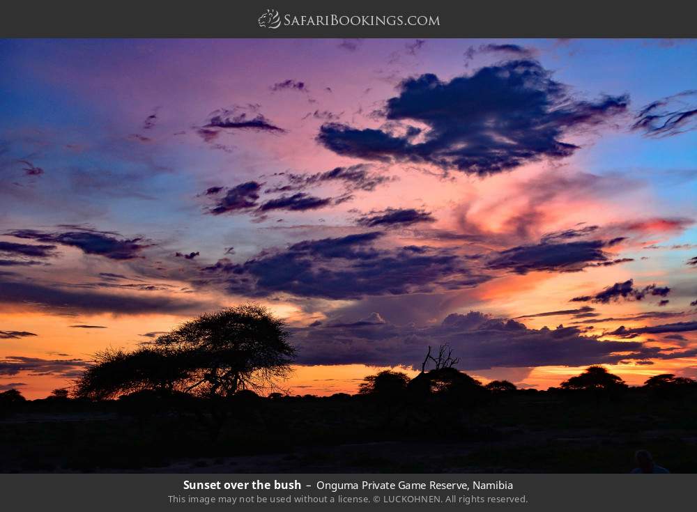 Sunset over the bush in Onguma Private Game Reserve, Namibia