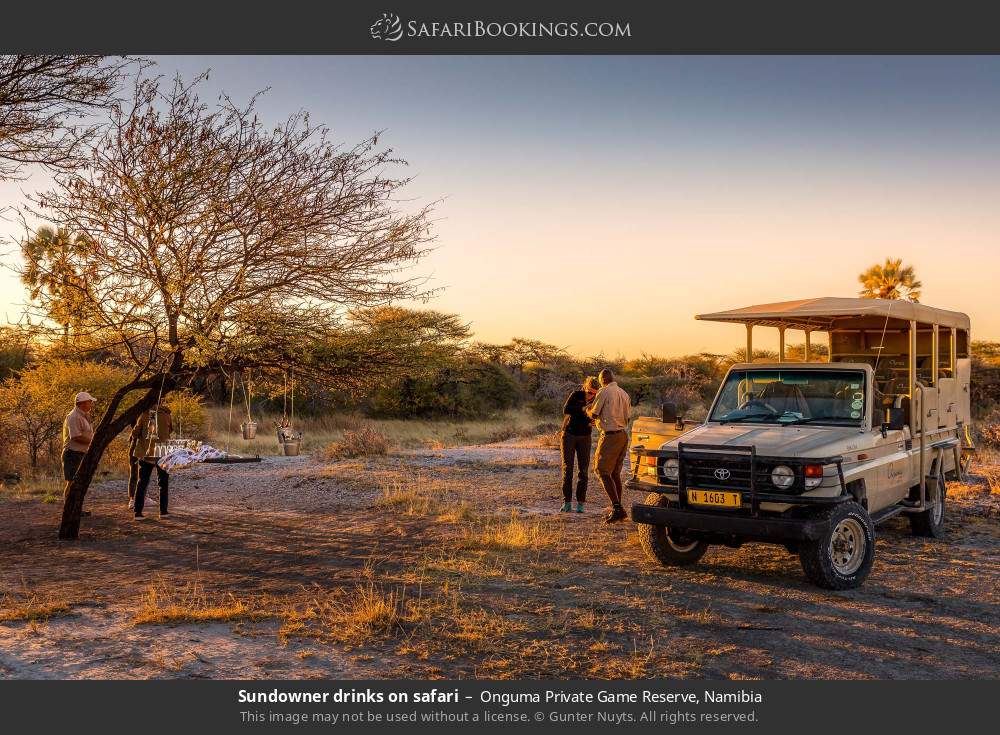 Sundowner drinks on safari in Onguma Private Game Reserve, Namibia