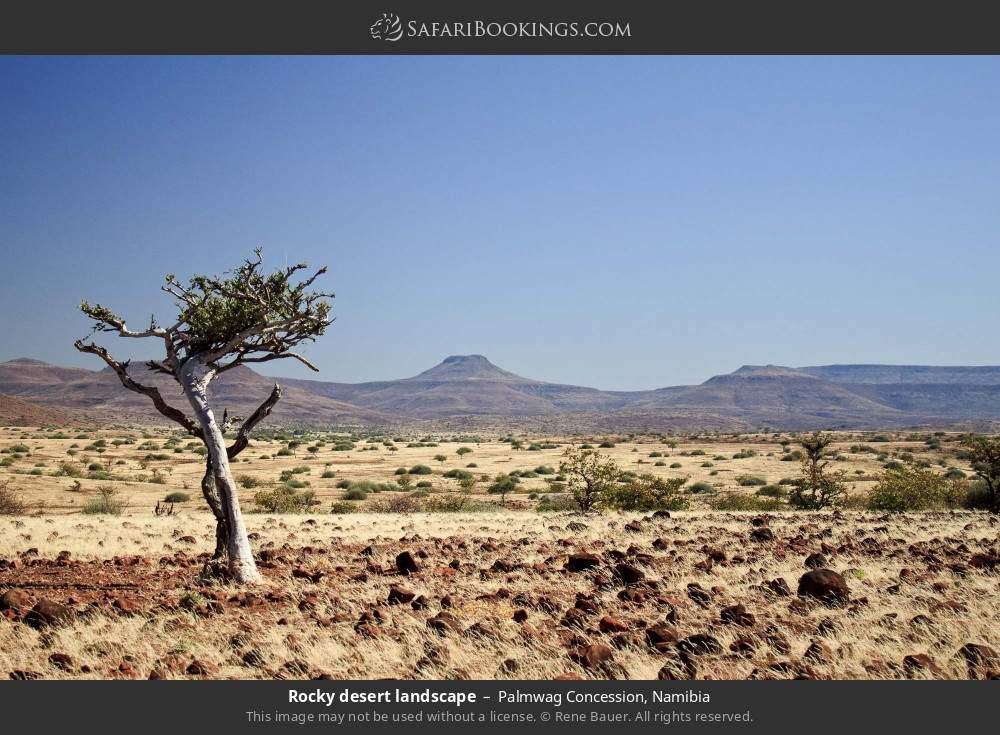 Rocky desert landscape in Palmwag Concession, Namibia