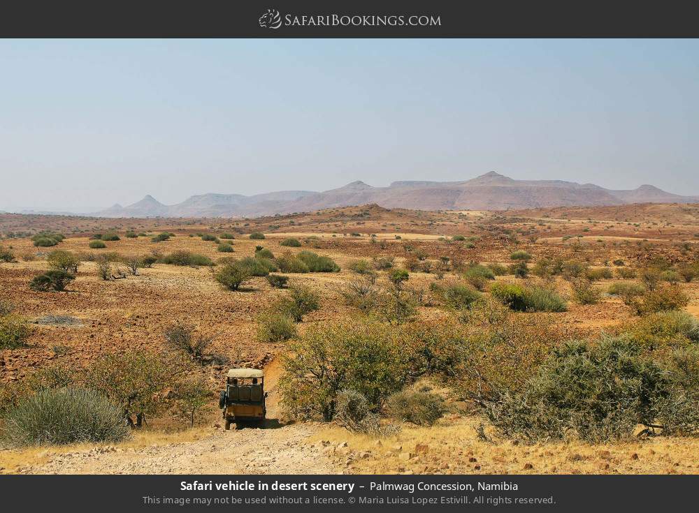 Safari vehicle in desert scenery in Palmwag Concession, Namibia