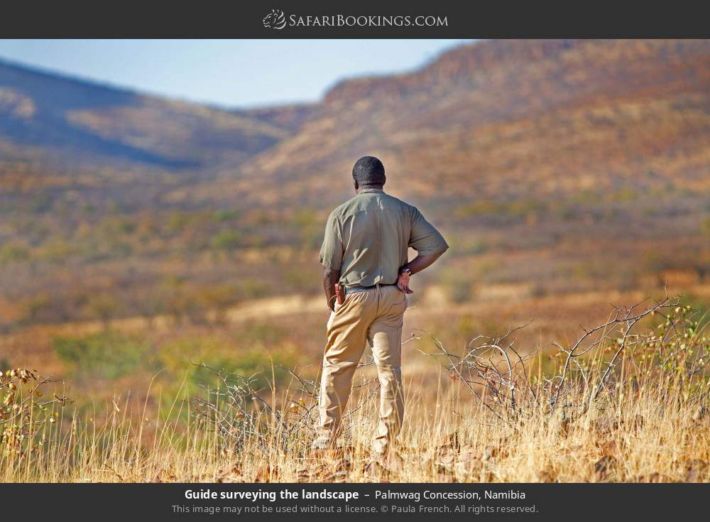 Guide surveying the landscape in Palmwag Concession, Namibia