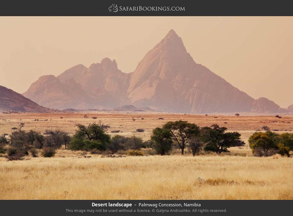 Desert landscape in Palmwag Concession, Namibia