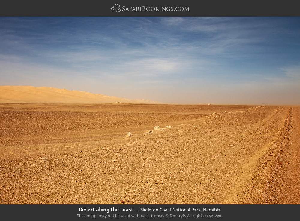 Desert along the coast in Skeleton Coast National Park, Namibia