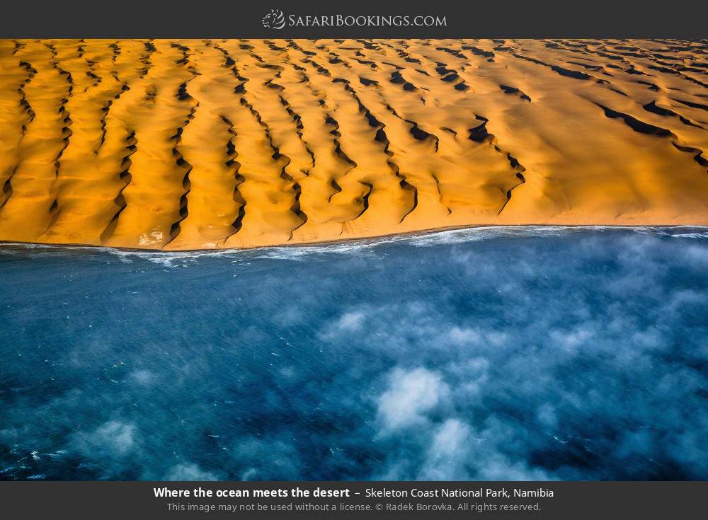 Where the ocean meets the desert in Skeleton Coast National Park, Namibia