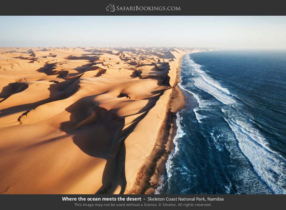 Where the ocean meets the desert in Skeleton Coast National Park, Namibia