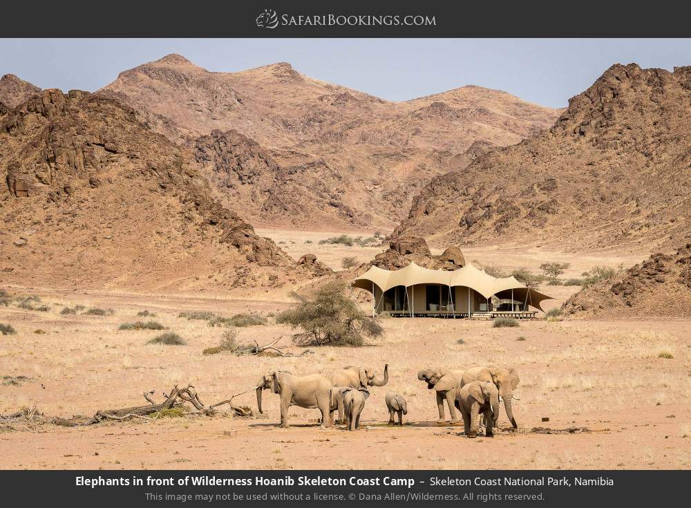 Elephants in front of Wilderness Hoanib Skeleton Coast Camp in Skeleton Coast National Park, Namibia