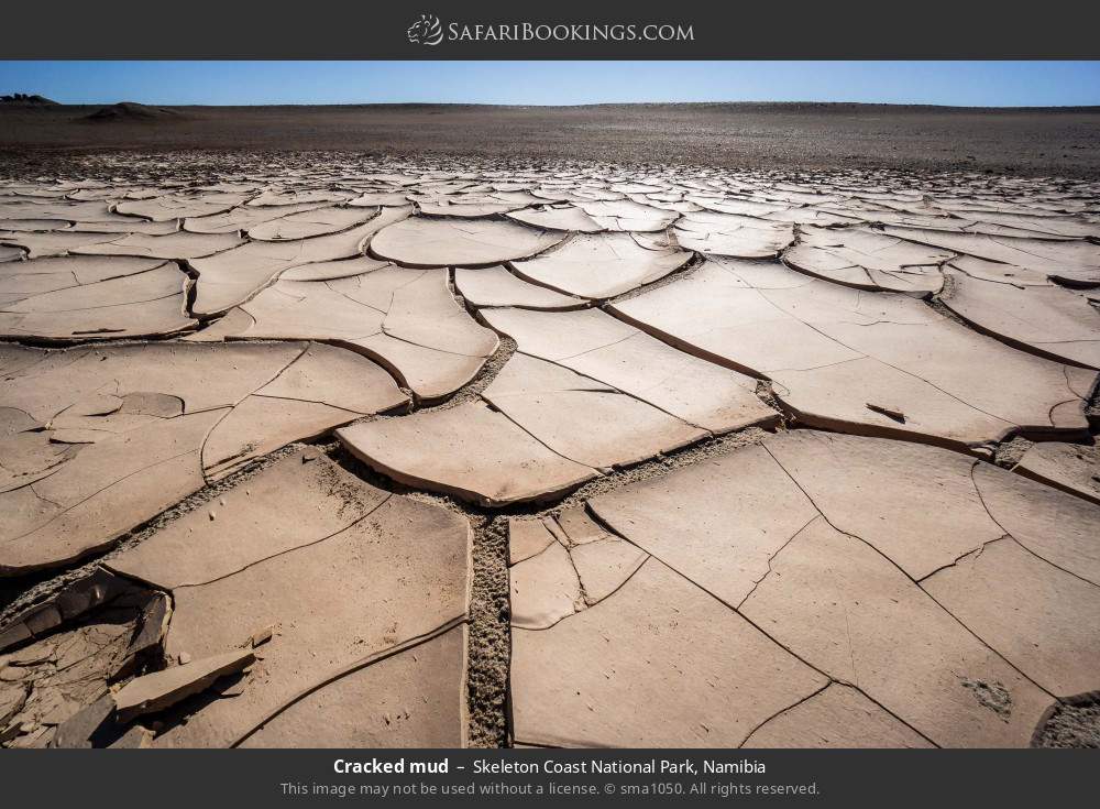 Cracked mud in Skeleton Coast National Park, Namibia