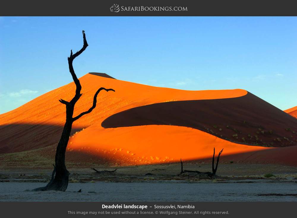 Deadvlei landscape in Sossusvlei, Namibia