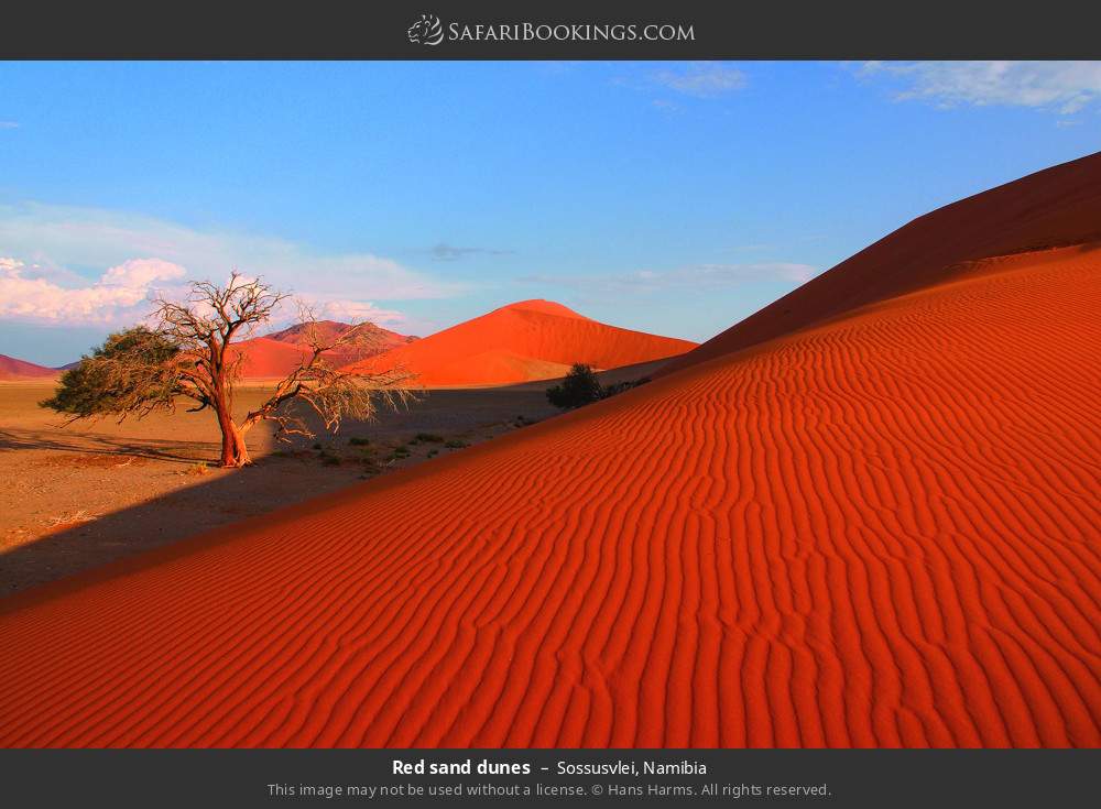 Namibia Safari: 10-Day Highlight Namibia Selfdrive Safari