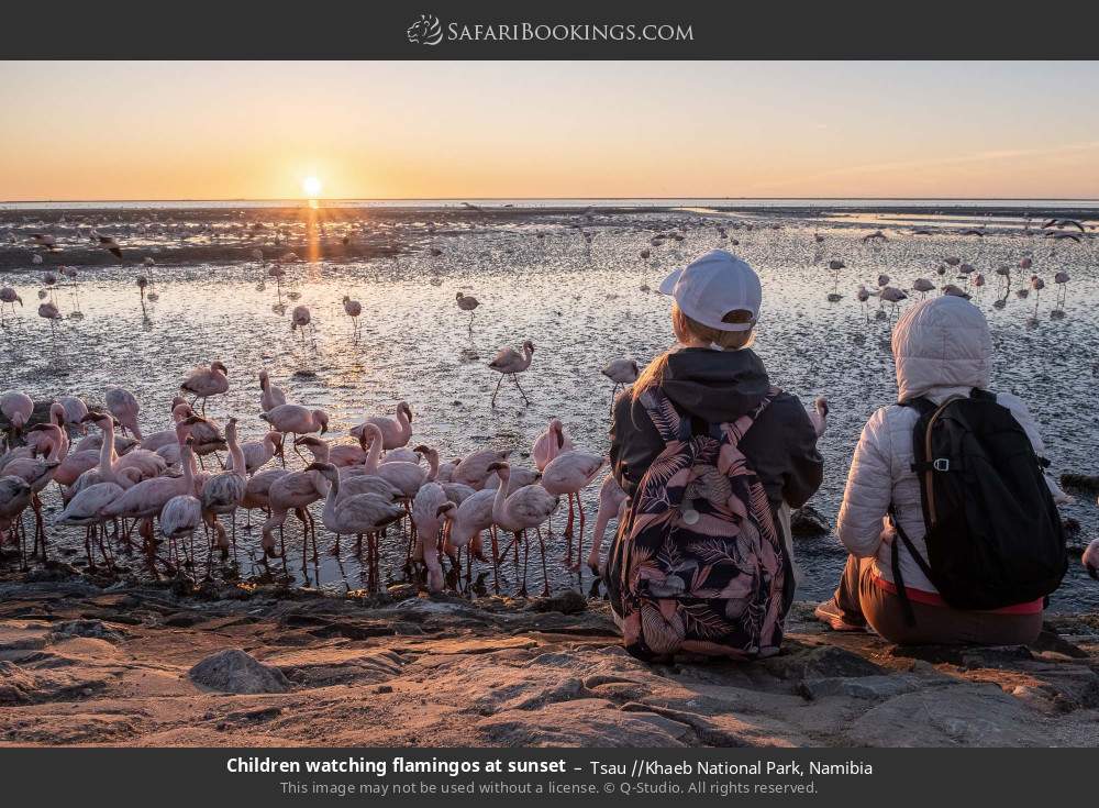 Children watching flamingos at sunset in Tsau //Khaeb National Park, Namibia