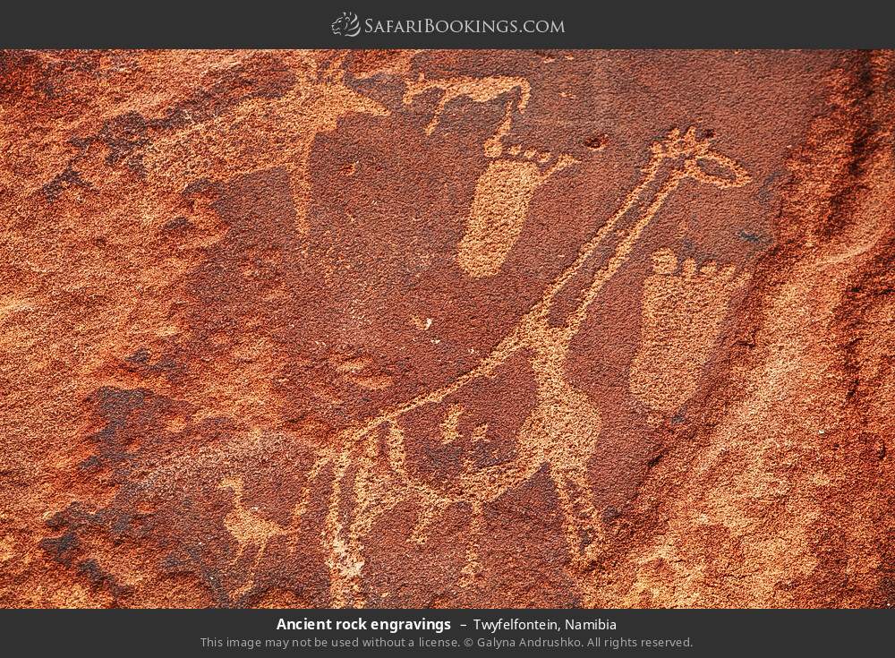 Ancient rock engravings in Twyfelfontein, Namibia