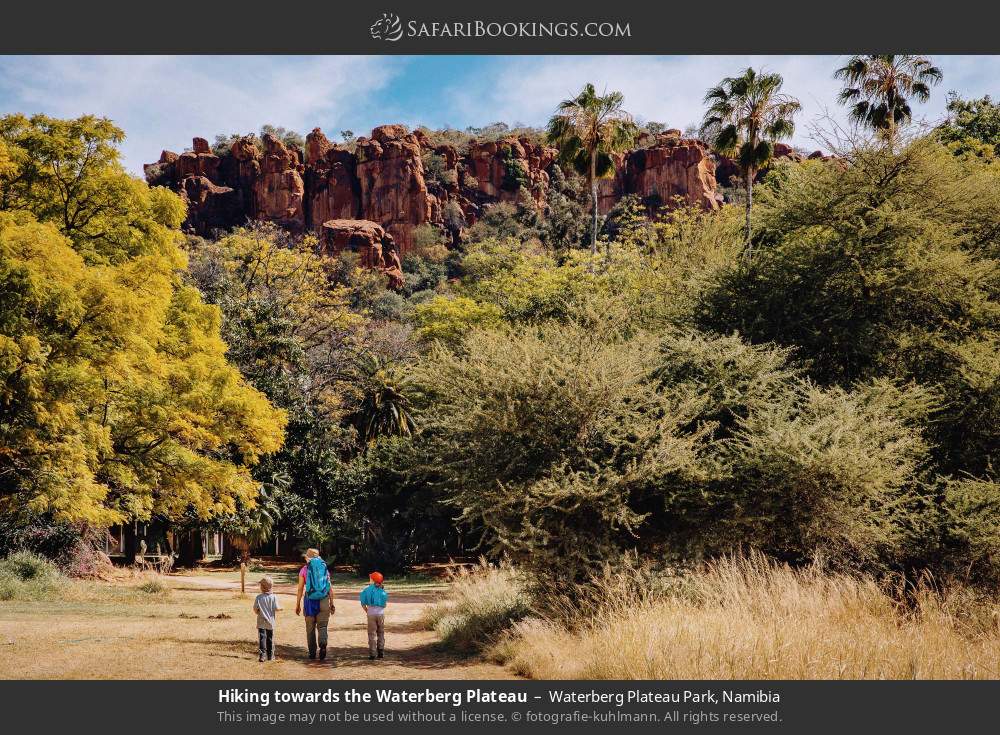 Hiking towards the Waterberg Plateau in Waterberg Plateau Park, Namibia
