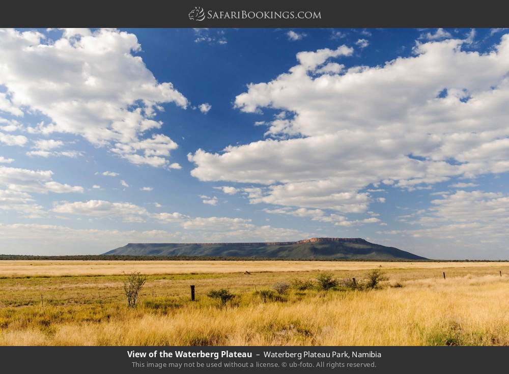 View of the Waterberg Plateau in Waterberg Plateau Park, Namibia