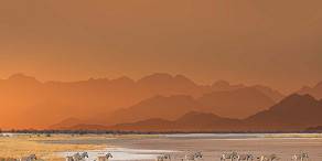 Open Photos