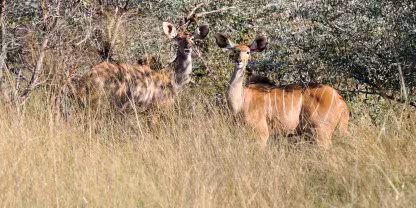 Bwabwata National Park