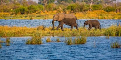Mudumu National Park