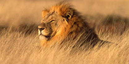 Etosha National Park