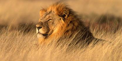 Etosha National Park