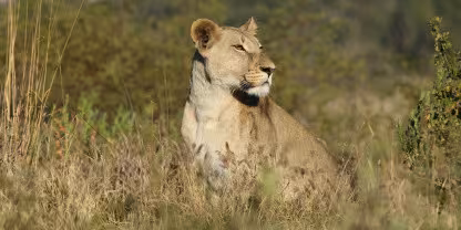 Khaudum National Park