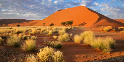 Namib-Naukluft National Park