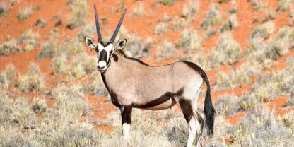 NamibRand Nature Reserve