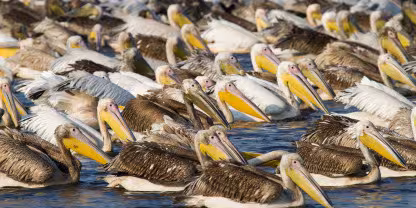 Nkasa Rupara National Park