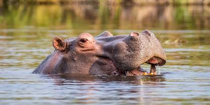 Zambezi Region