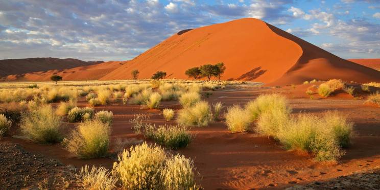 Namib-Naukluft National Park – Travel Guide, Map & More!