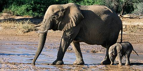 Classic Namibia Guided Group Safari