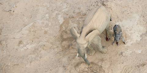 5-Day Kilimanjaro Climb - Marangu Route