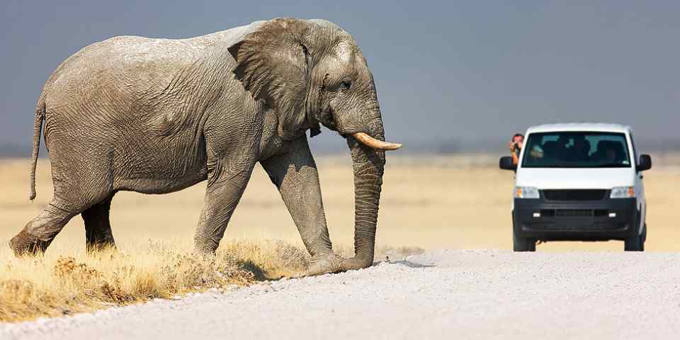 6-Day Magical Tanzania Safari