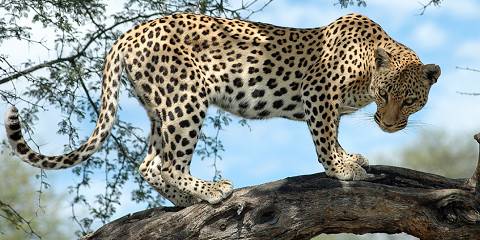 tour group to namibia