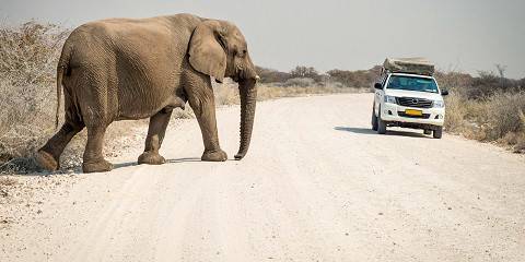 3-Day Etosha Safari Camping