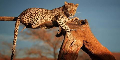 10-Day Namibia Luxury Guided Experience