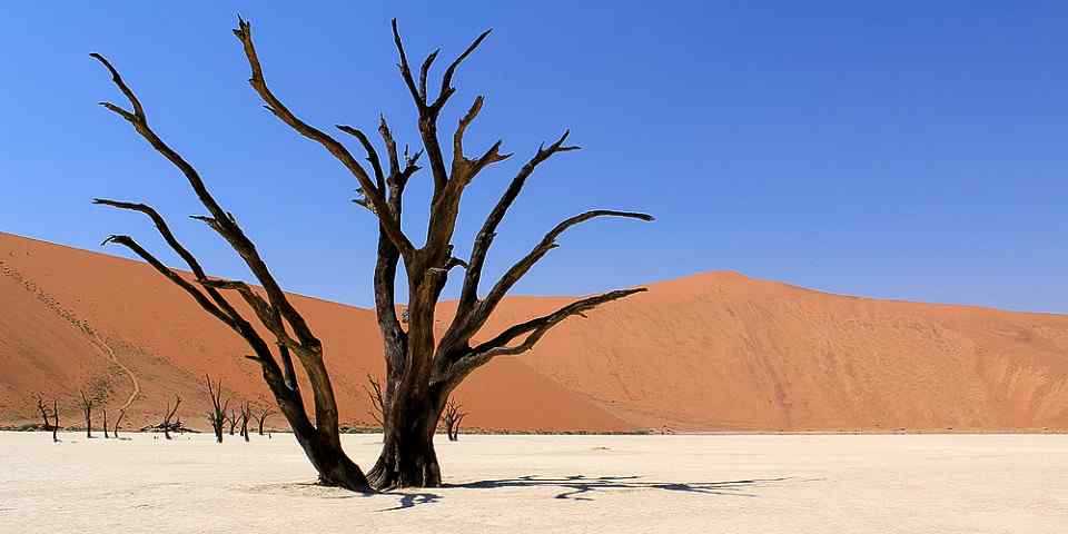 8-Day Sossusvlei, Swakop, Twyfelfontein & Etosha Lodging
