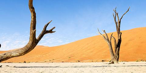 namibia desert safari