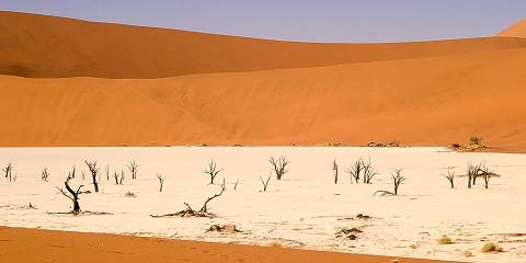 Namib Desert Quad Biking & Sandboarding