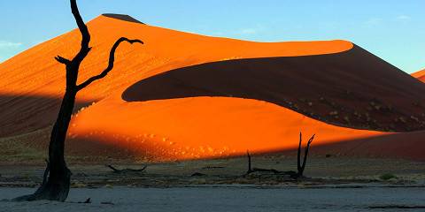 Southern Namibia Safari