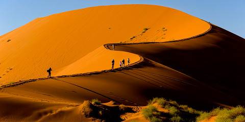 7-Day Namib Desert and Etosha Wildlife