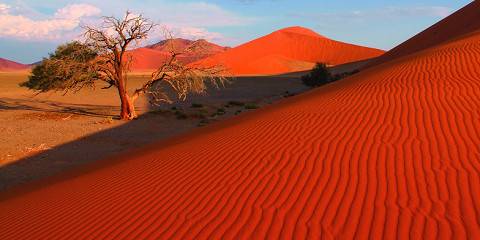 All Inclusive Namibia Desert, Dune & Safari