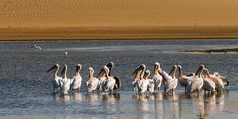 3-Day Namibia in a Nutshell Guided Tour