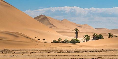 6-Day Explore Namibia